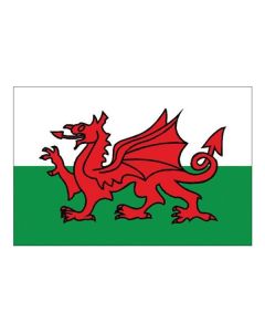 Flag Welsh Dragon (30 x 45cm)